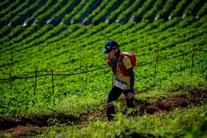 BIB: 
                            <button type="button" onclick="openModal(19160687)" class="btn btn-primary btn-sm float-right btn-popup" data-toggle="modal" data-target=".modal-high-quality">
                        <i class="fas fa-shopping-cart"></i> Add to Cart
                    </button>
                                            <button type="button" onclick="isThisMe(19160687, true)" class="btn btn-success btn-sm float-right btn-popup btn-isme hidden" data-toggle="tooltip" data-placement="bottom" title="นี่คือรูปของคุณใช่ไหม คลิกที่นี่เพื่อเอาเข้าอัลบั้ม">
                        <i class="fas fa-plus"></i> Add to album
                    </button>
                    <button type="button" onclick="isThisMe(19160687, false)" class="btn btn-warning btn-sm float-right btn-popup btn-isnotme hidden">
                        <i class="fas fa-ban"></i> Remove from album
                    </button>